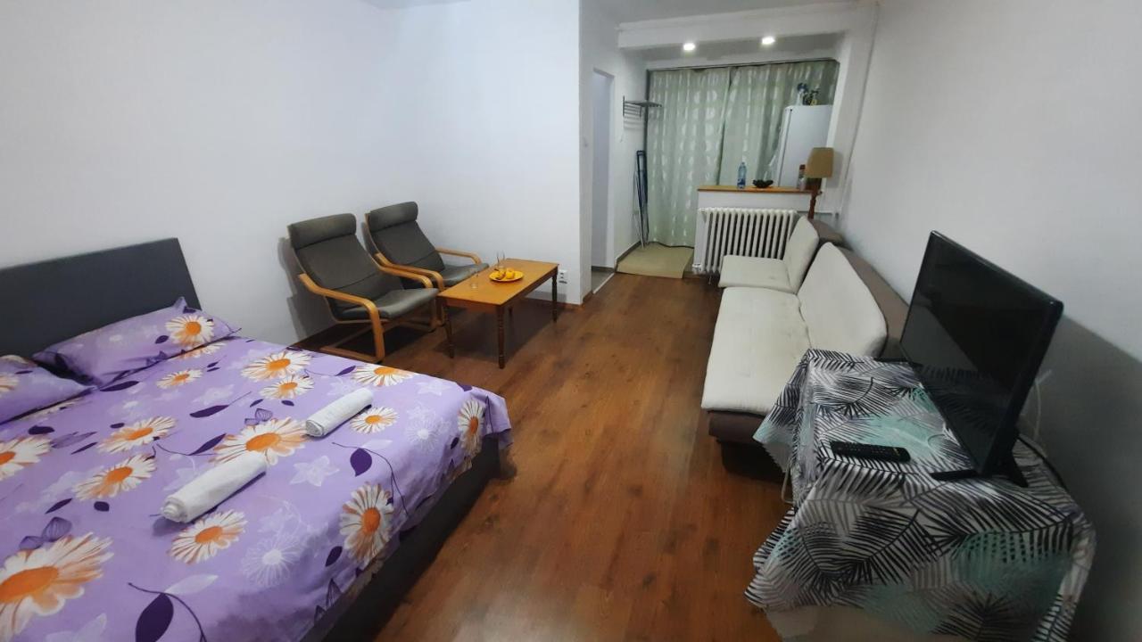 Lovely 1 Bedroom Apartment With Free Street Parking بوخارست المظهر الخارجي الصورة